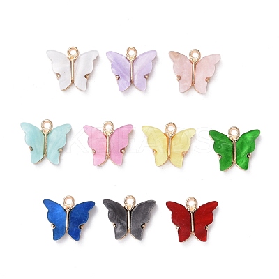 Alloy Acrylic Pendants ENAM-R136-01-1