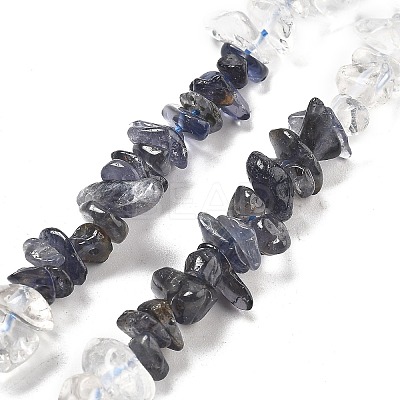 Natural Quartz Crystal & Iolite Beads Strands G-L610-A30-01-1