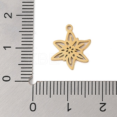 304 Stainless Steel Pendants STAS-S139-06G-01-1
