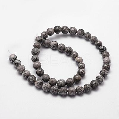 Natural Map Stone/Picasso Stone/Picasso Jasper Bead Strands G-D840-60-12mm-1