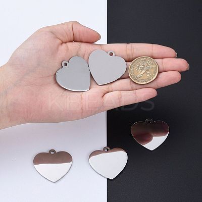 Tarnish Resistant 304 Stainless Steel Pendants STAS-I140-10B-S-1