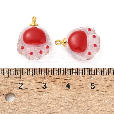 Transparent Resin Pendants FIND-R147-02G-1