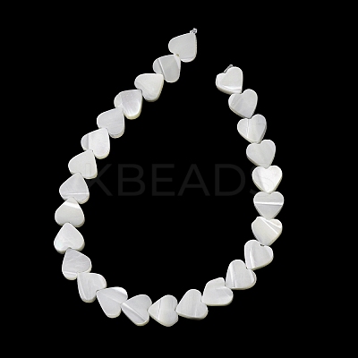 Natural Trochid Shell/Trochus Shell Beads Strands SH-CBA2978-19B-1