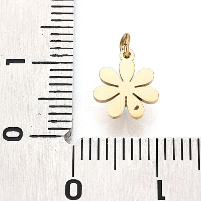 Ion Plating(IP) 316 Surgical Stainless Steel Charms STAS-H100-19G-1