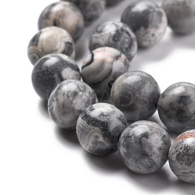 Natural Map Stone/Picasso Stone/Picasso Jasper Beads Strands G-G047-8mm-1