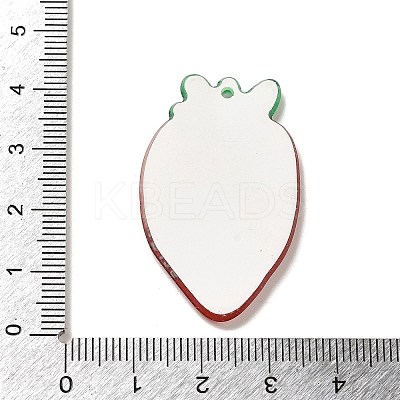Acrylic Pendants OACR-R270-03B-1