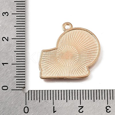 Alloy with Enamel Pendants AL-CBA9E11-02KCG-03-1