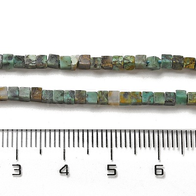 Natural African Turquoise(Jasper) Beads Strands G-B064-A13-1