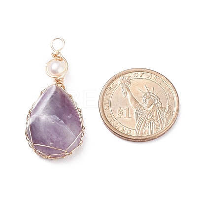 Natural Amethyst Copper Wire Wrapped Pendants PALLOY-JF01398-04-1