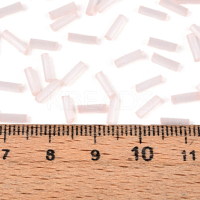Glass Bugle Beads X-SEED-N007-28O-1
