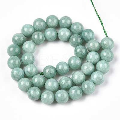 Natural Myanmar Jade/Burmese Jade Beads Strands X-G-T064-22-10mm-1