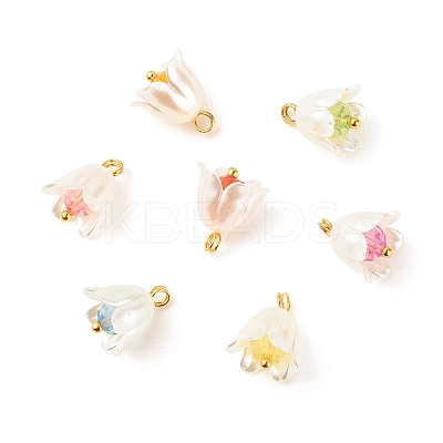 Spray Painted ABS Plastic Imitation Pearl Charms PALLOY-JF01603-04-1