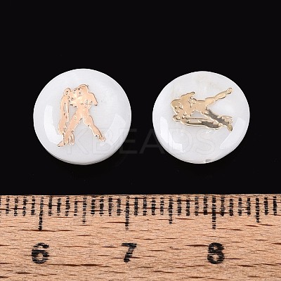 Natural Freshwater Shell Beads SHEL-N037-02K-G-1