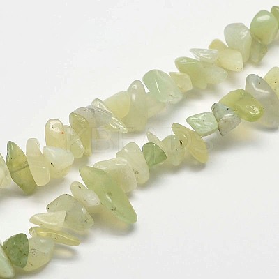 Chip Natural New Jade Beads Strands G-N0144-01-1