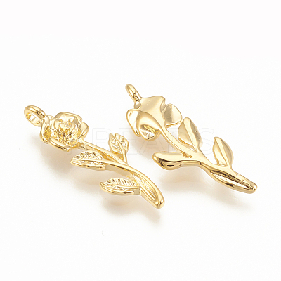 Brass Pendants LS-KK-T020-117G-1