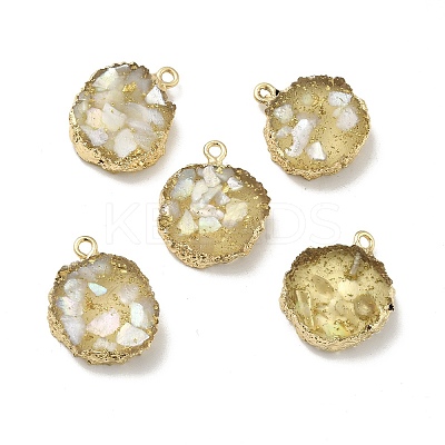 Transparent Resin Pendants CRES-F022-03C-1