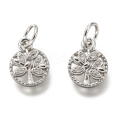 Brass Micro Pave Clear Cubic Zirconia Charms ZIRC-B002-66P-1