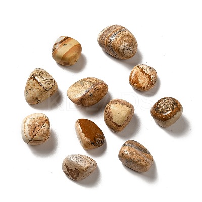 Natural Picture Jasper Beads G-G979-A02-1