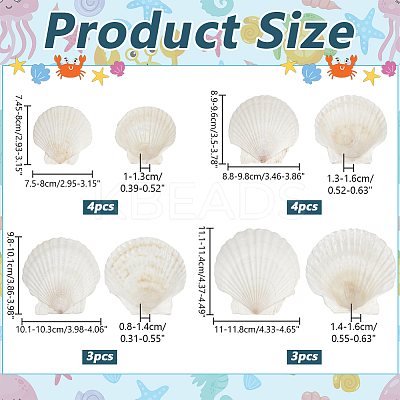 14Pcs 4 Styles Natural Shell Painting Accessories DIY-NB0012-05-1