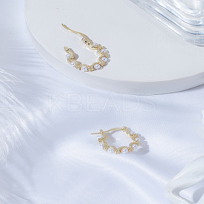 1 Pair Zinc Alloy Hoop Earrings EJEW-LP0003-66P-1