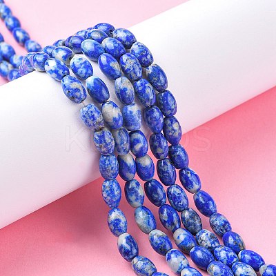 Natural Lapis Lazuli Beads Strands G-K311-10B-03-1