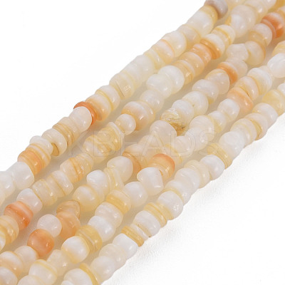Natural Freshwater Shell Beads Strands SHEL-S278-066C-1