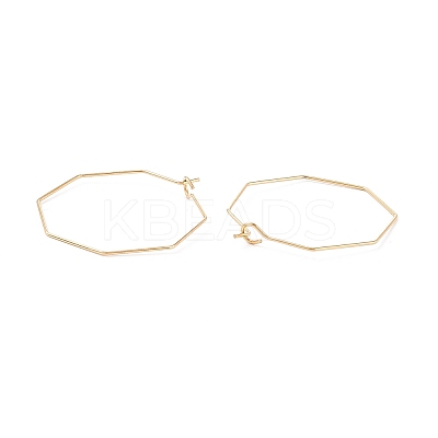 Ion Plating(IP) 316 Stainless Steel Hoop Earrings Findings STAS-C029-03G-1