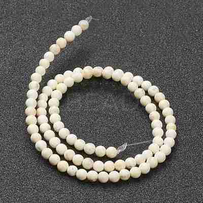 Nrtutal Magnesite Beads Strands G-L575-01A-1