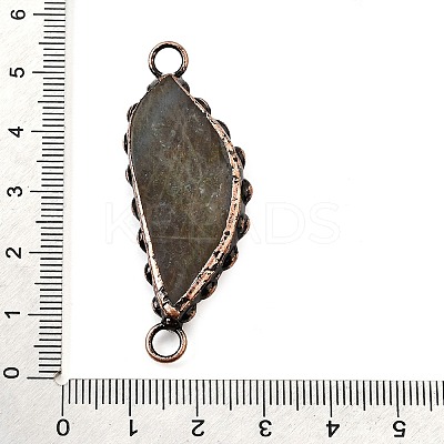 Brass Pave Natural Labradorite Feather Connector Charms G-Q350-03A-1