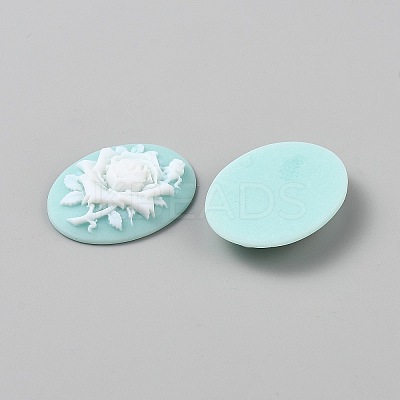 Resin Cabochons CRES-WH0018-02A-1