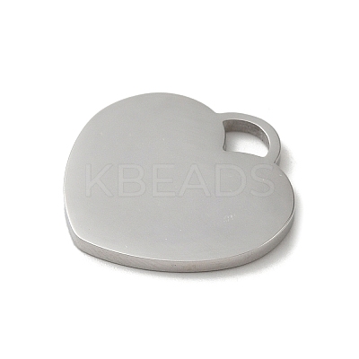 Non-Tarnish 304 Stainless Steel Pendants STAS-K270-06P-1