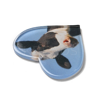Opaque Acrylic Pendants SACR-P020-A02-1