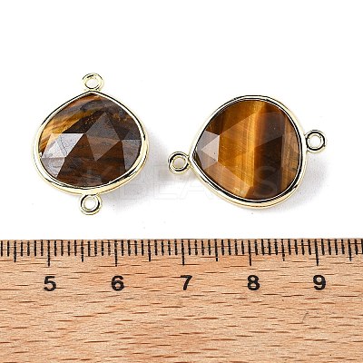 Brass Connector Charms G-H323-01G-02-1