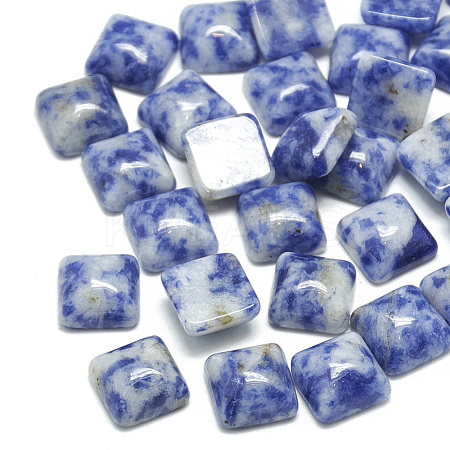 Natural Blue Spot Jasper Cabochons G-T026-10x10-15-1