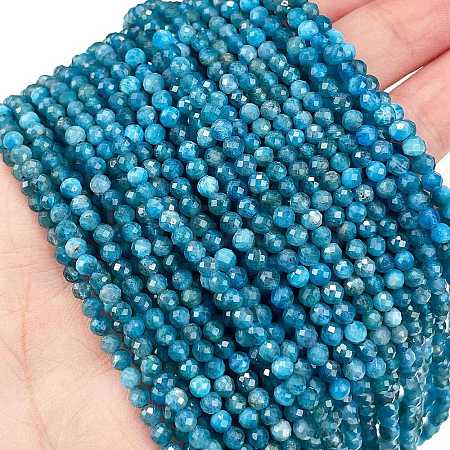 Natural Apatite Beads Strands G-Z057-B02-02-1