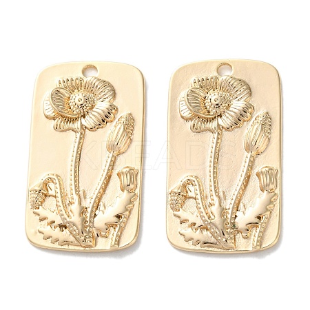 Brass Pendants KK-C079-11G-1