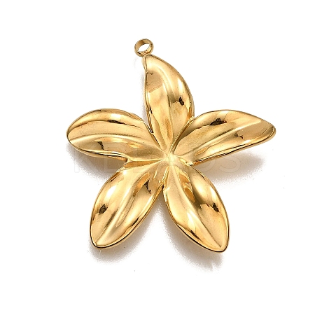 304 Stainless Steel Pendants LS-STAS-M116-03G-1