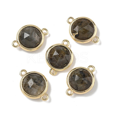 Brass Pave Natural Labradorite Faceted Flat Round Connector Charms G-U028-04G-16-1