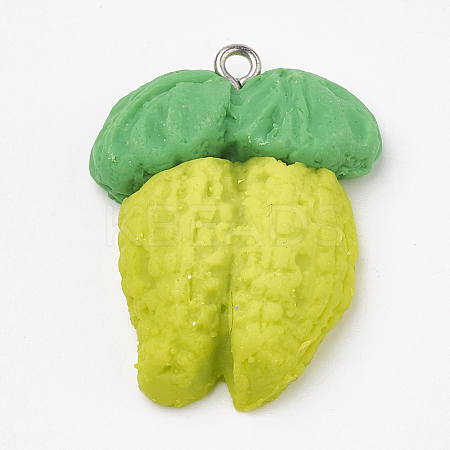 Handmade Polymer Clay Pendants LS-X-CLAY-T012-11-1