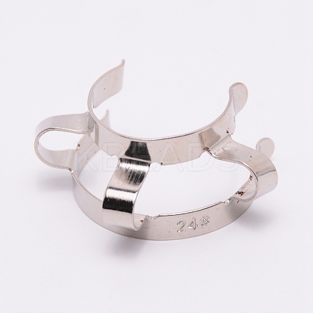 Carbon Steel Clips AJEW-WH0018-84P-01-1
