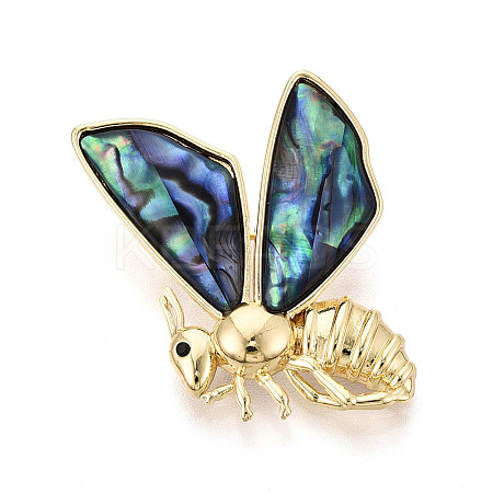 Paua Shell Pins JEWB-T005-10G-1