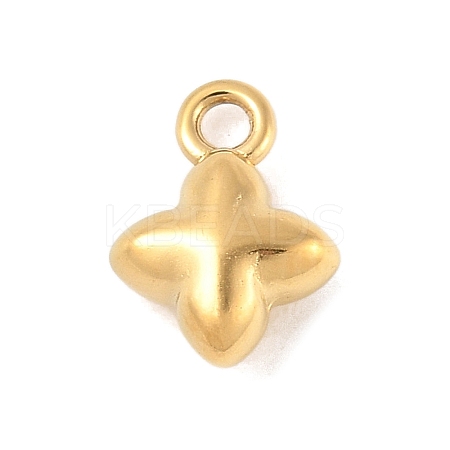 304 Stainless Steel Charms STAS-Q351-09G-1