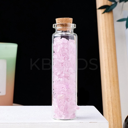 Natural Rose Quartz Chips in a Glass Bottle with Cork Cover PW-WG28850-05-1