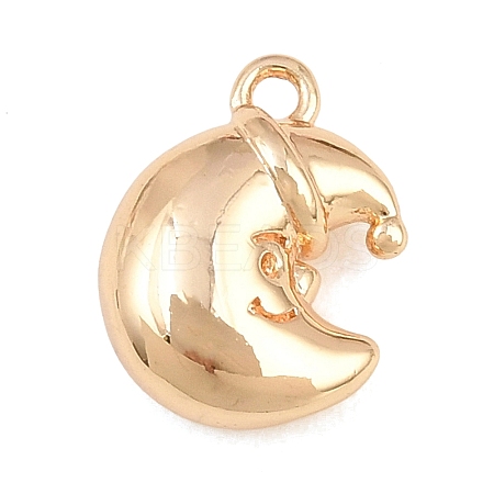 304 Stainless Steel Charms SA-CBA4377-02A-G-1