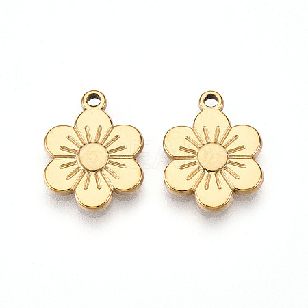 304 Stainless Steel Pendants STAS-N109-03G-1