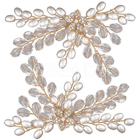 Detachable Shoe Decoration AJEW-WH0326-76B-1