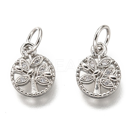 Brass Micro Pave Clear Cubic Zirconia Charms ZIRC-B002-66P-1