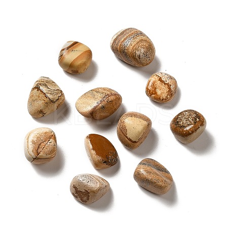 Natural Picture Jasper Beads G-G979-A02-1