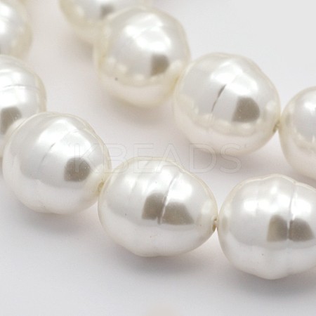 Oval Shell Pearl Bead Strands BSHE-M008-09-1