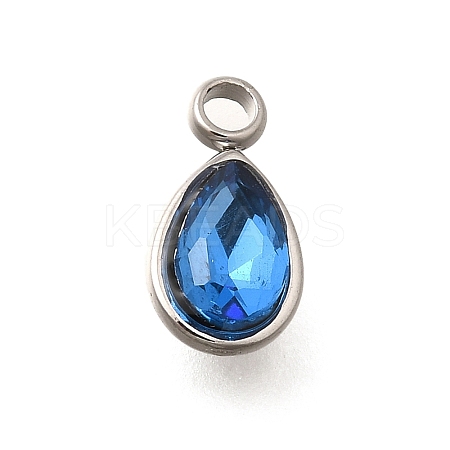 304 Stainless Steel Pendants STAS-Q346-04P-01-1